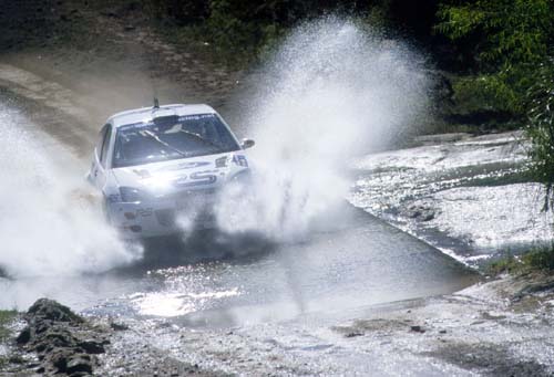Safari Rally: SS6.