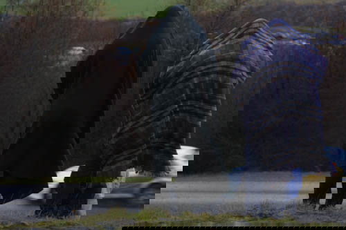 Preview: Network Q Rally of Great Britain.