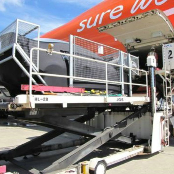 Special event for Bozian.