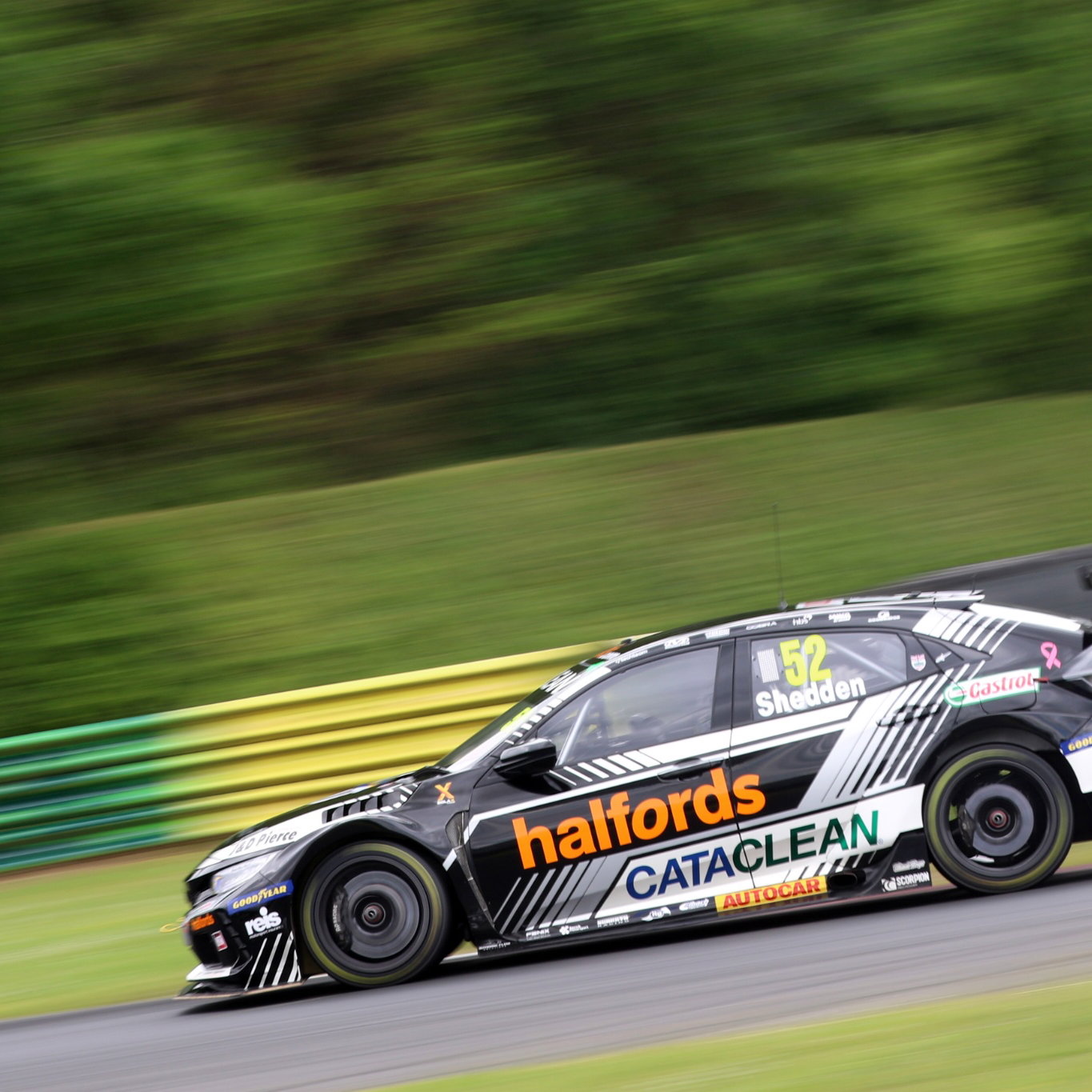 Gordon Shedden (GBR) - Halfords Racing with Cataclean Honda Civic Type