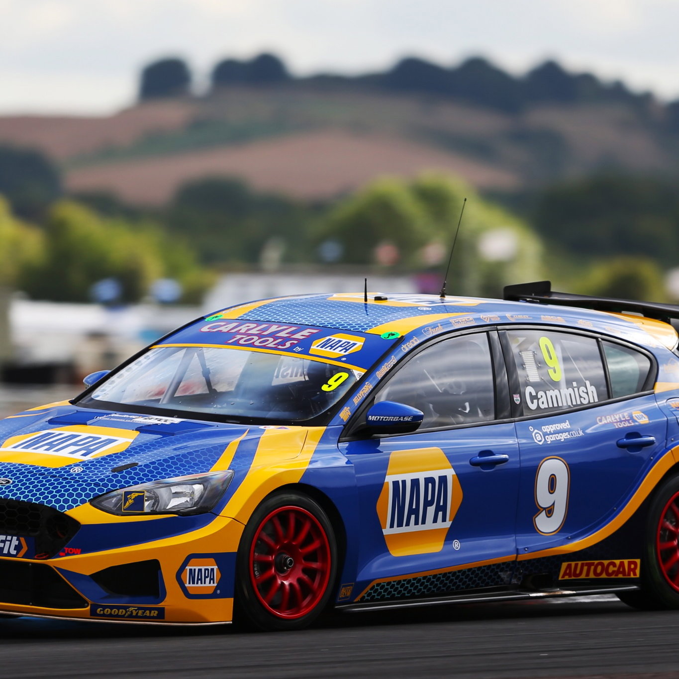 Dan Cammish (GBR) - NAPA Racing UK Ford Focus
