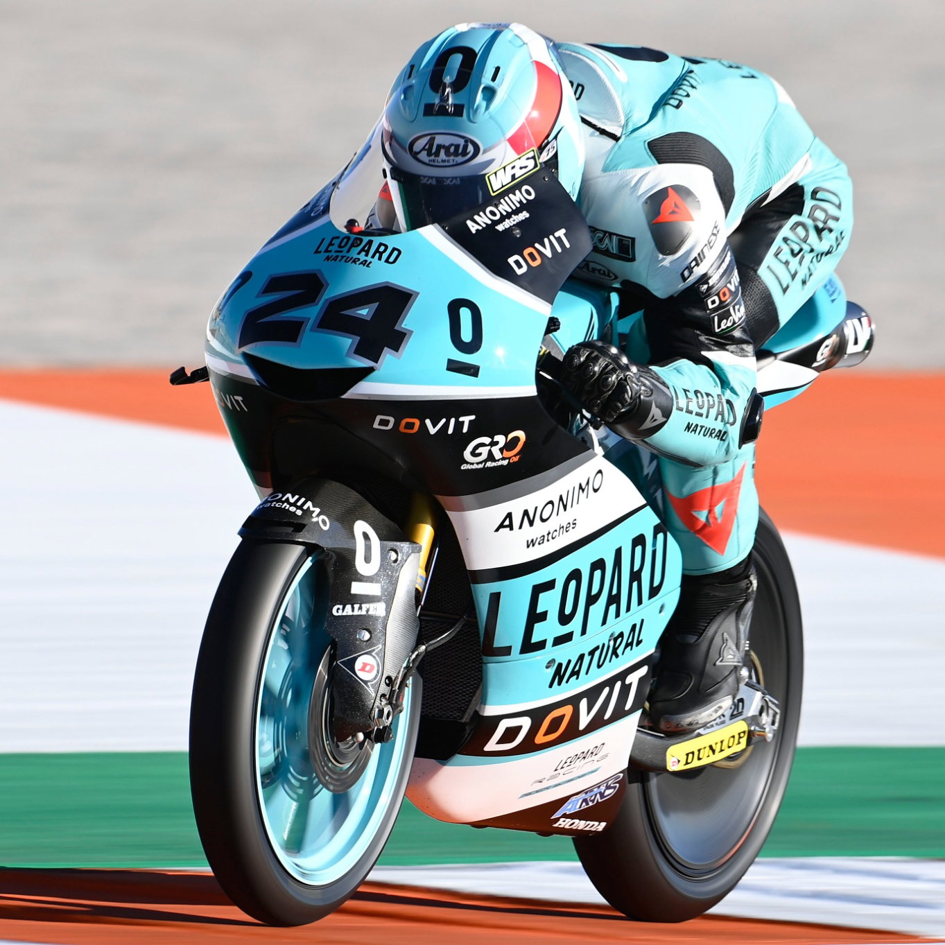 Tatsuki Suzuki, Moto3, Valencia MotoGP, 4 November