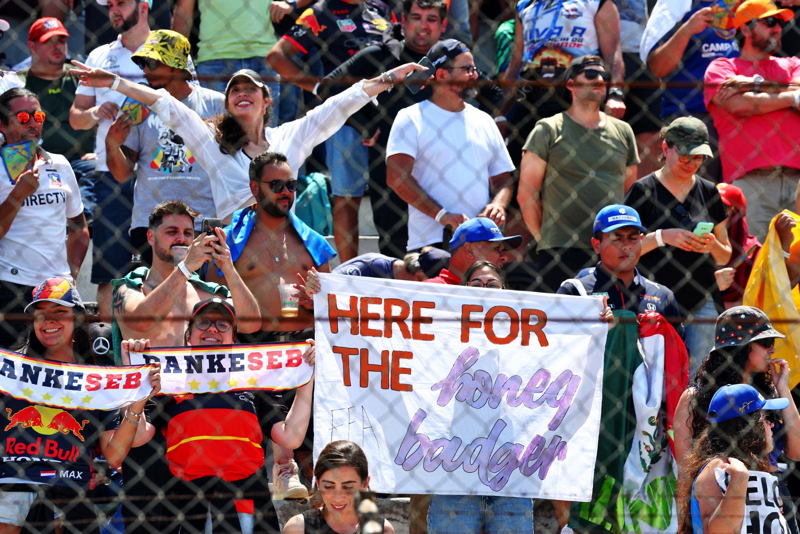 Circuit atmosphere - fans. Formula 1 World Championship, Rd 21, Brazilian Grand Prix, Sao Paulo, Brazil, Race Day. -