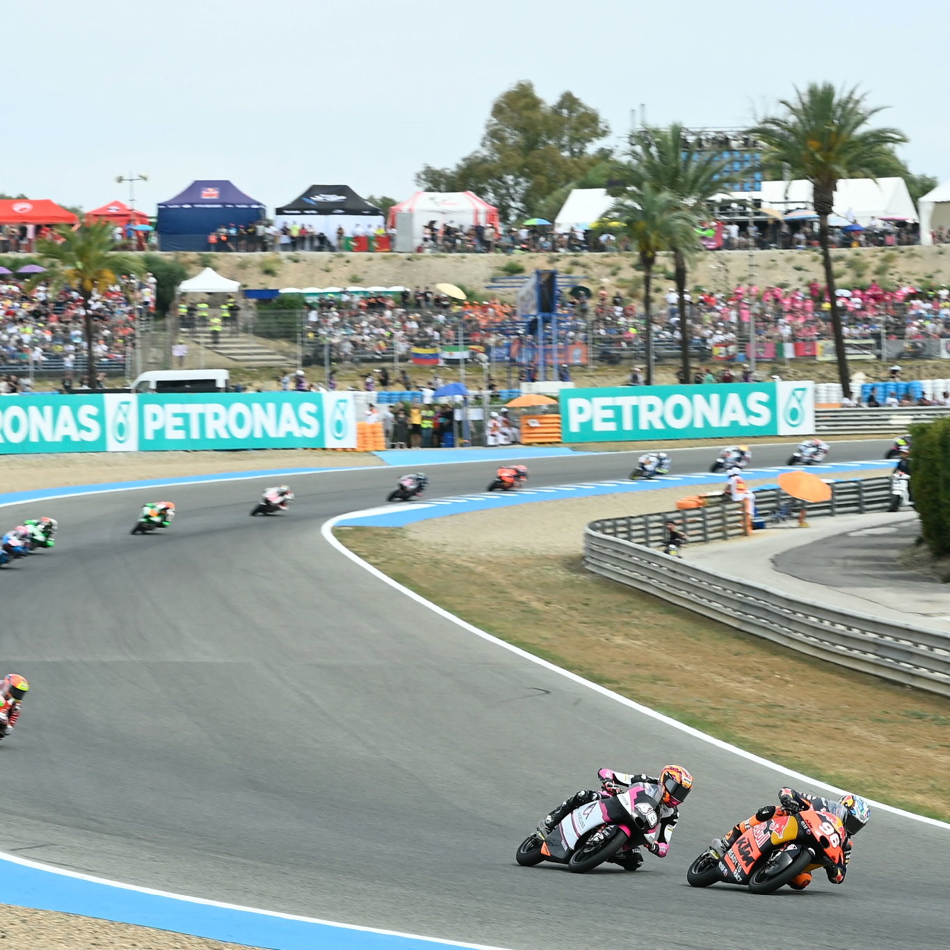 Daniel Holgado, Moto3 race, Spanish MotoGP, 30 April