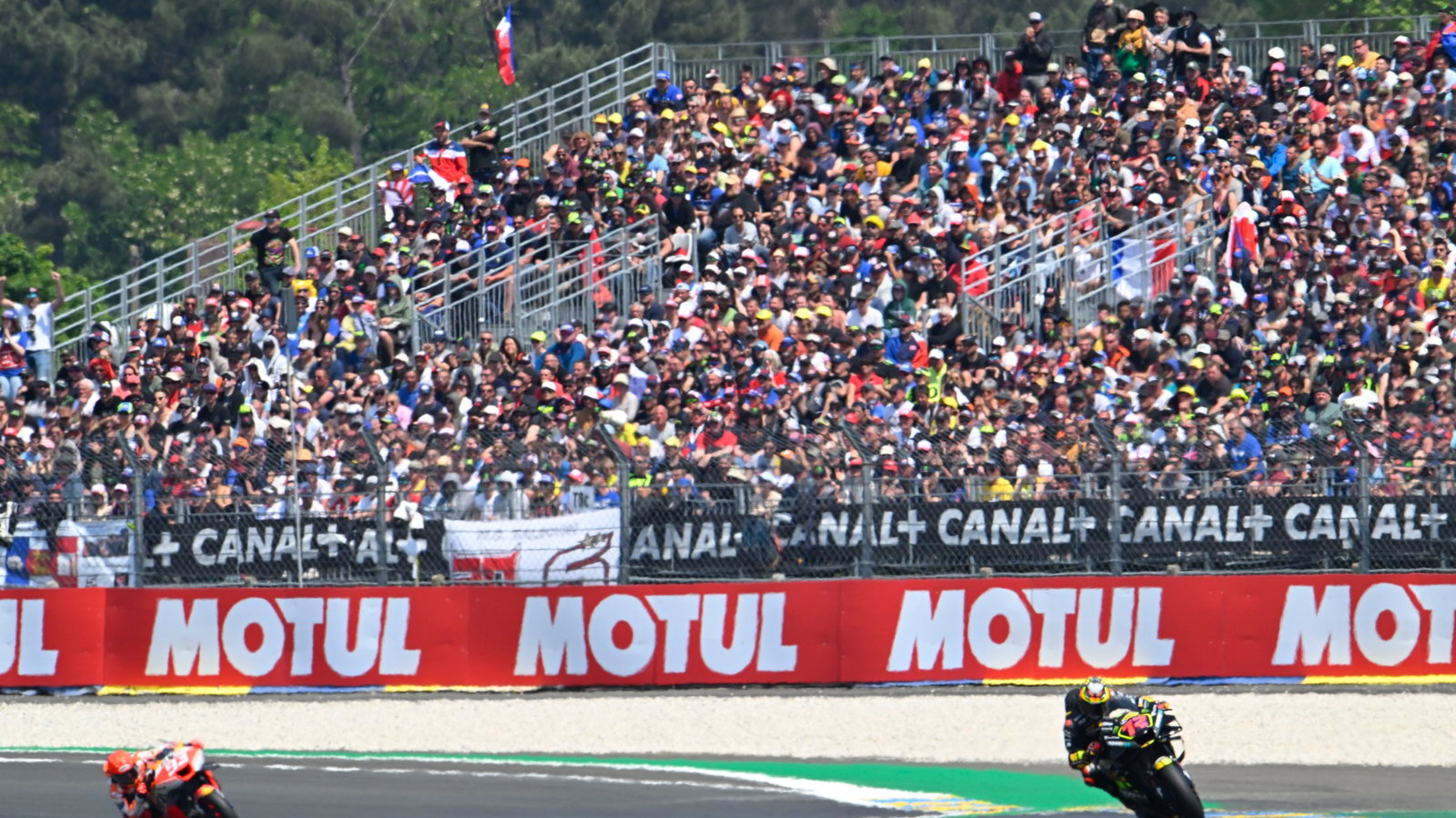 Marco Bezzecchi, MotoGP race, French MotoGP, 14 May