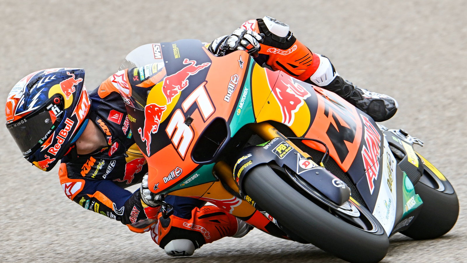 Pedro Acosta, Red Bull KTM Moto2 Sachsenring 2023