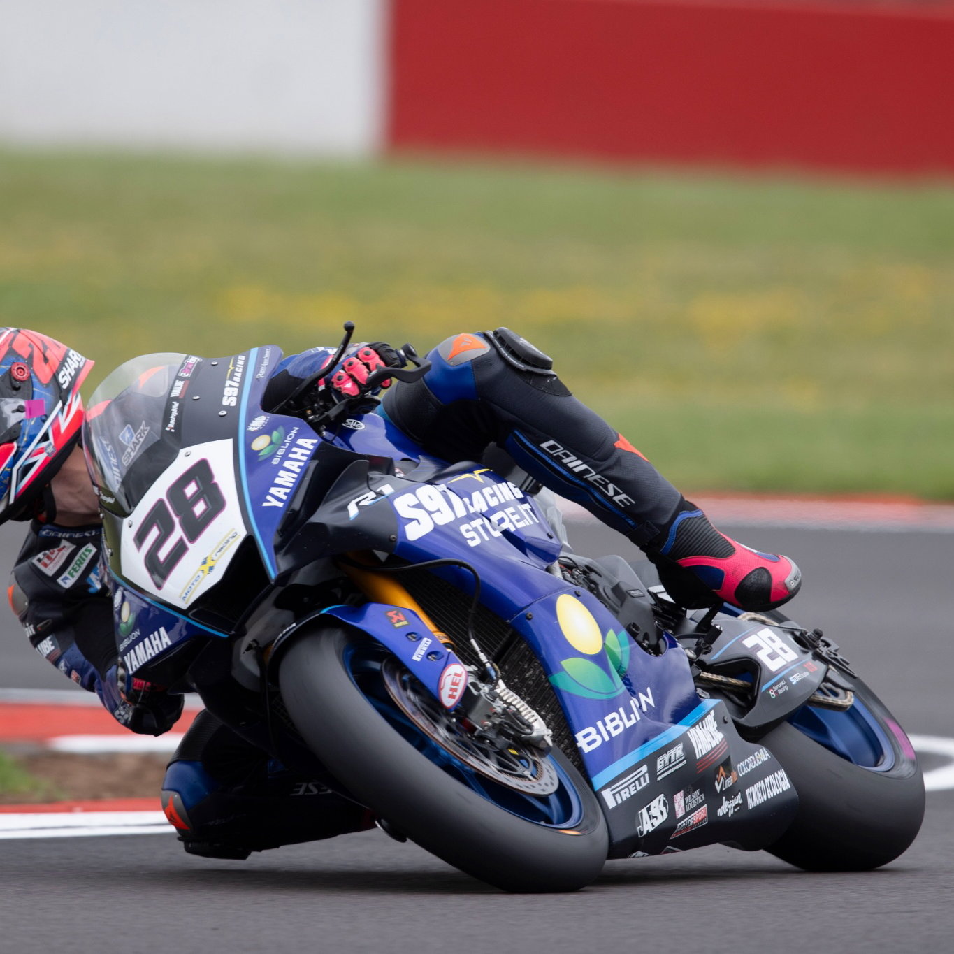 Bradley Ray, British WorldSBK, 01 July