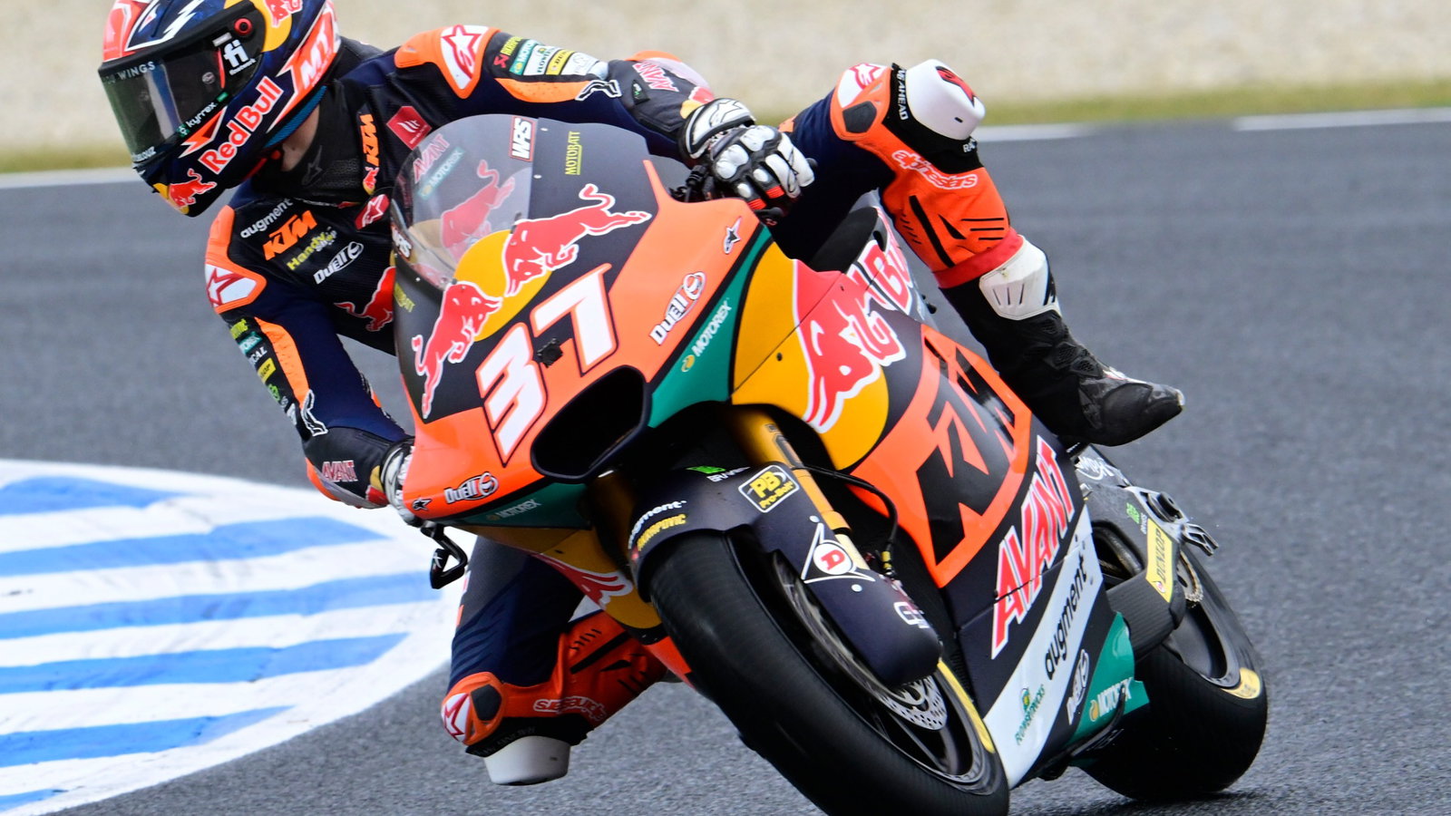 Pedro Acosta, Moto2, Australian MotoGP, 22 October