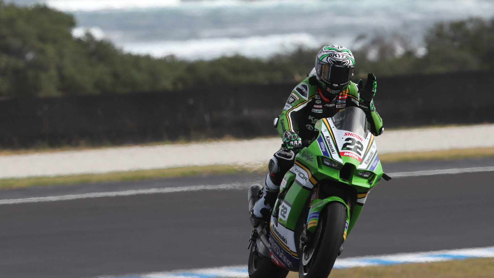 Alex Lowes, Race 1, Australian WorldSBK, 24 February