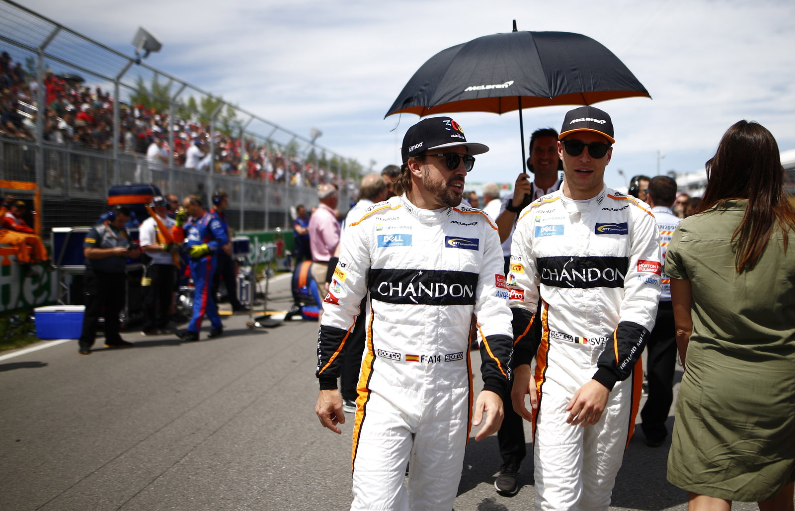 Stoffel Vandoorne interview: 